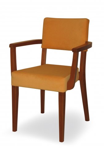 Židle - polokřeslo EMA 323183